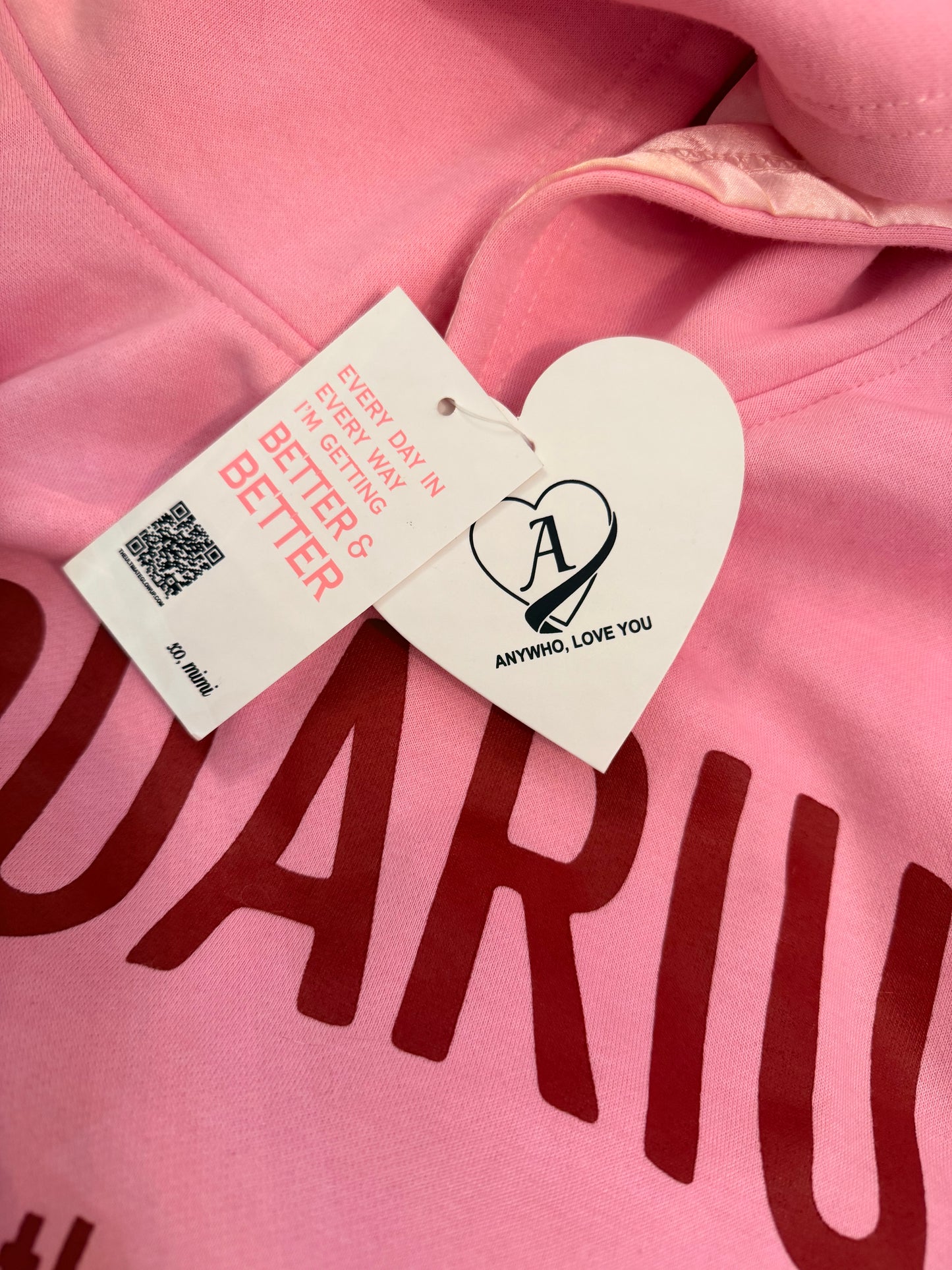 Aquarius Hoodie (pink)